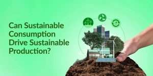 Can Sustainable Consumption Drive Sustainable Production