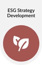 ESG Strategy Development