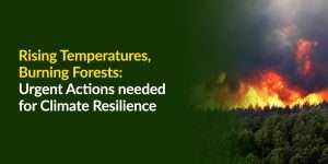 Rising Temperatures, Burning Forests: Urgent Actions Needed for Climate Resilience