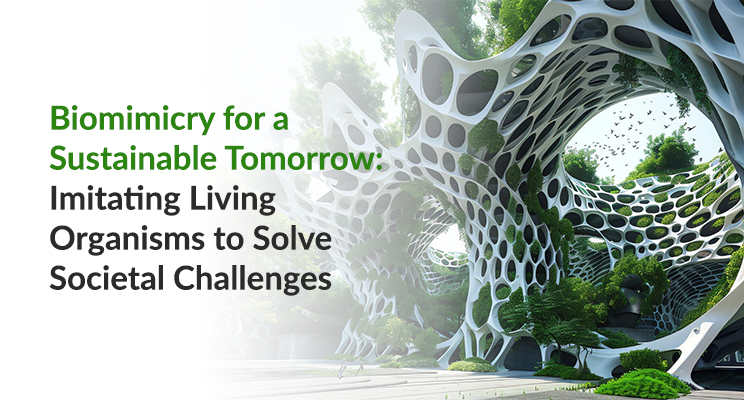 Biomimicry for a Sustainable Tomorrow: Imitating Living Organisms to Solve Societal Challenges