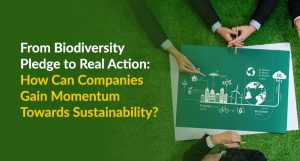 From Biodiversity Pledge to Real Action: How Can Companies Gain Momentum Towards Sustainability?