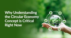 Why Understanding the Circular Economy Concept is Critical Right Now