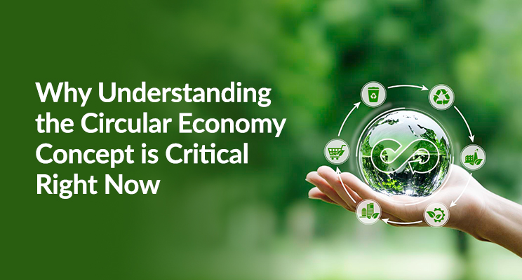 Why Understanding the Circular Economy Concept is Critical Right Now