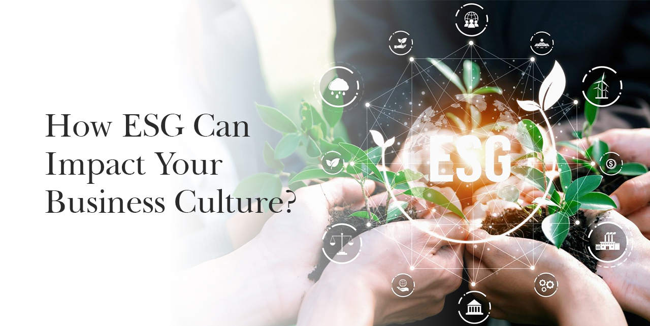 How ESG Can Impact Your Business Culture?