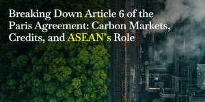 Article 6 Paris Agreement