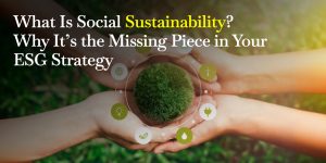 Social Sustainability in ESG
