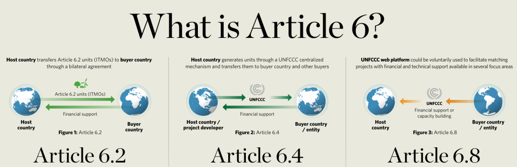 Article 6