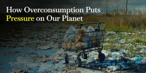 Overconsumption