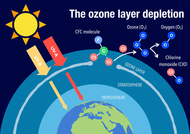 Mechanisms of Ozone Depletion