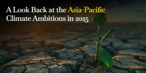 A Look Back at the Asia-Pacific Climate Ambitions in 2025