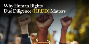Blog post header with the title "Why Human Rights Due Diligence (HRDD) Matters" in white and yellow text, overlaid on a blurred background of raised fists symbolizing solidarity and activism.