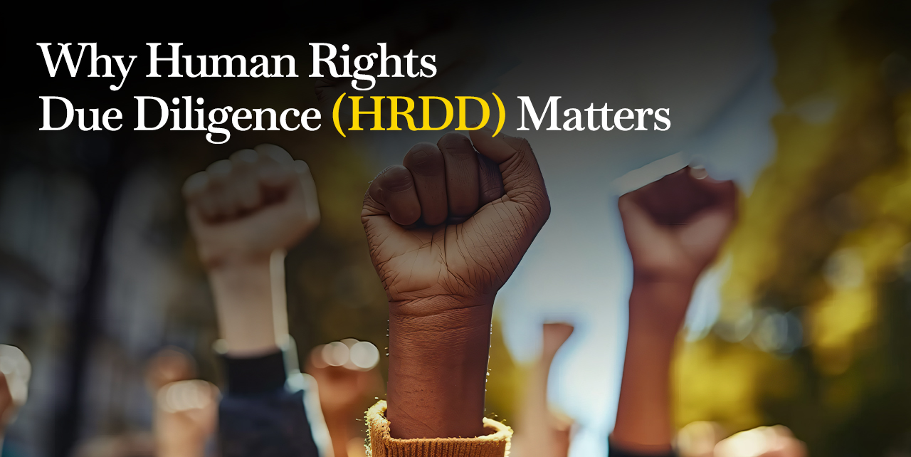 Blog post header with the title "Why Human Rights Due Diligence (HRDD) Matters" in white and yellow text, overlaid on a blurred background of raised fists symbolizing solidarity and activism.